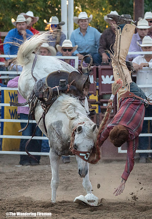 Saddle Bronc Riding at the Leon Iowa Rodeo