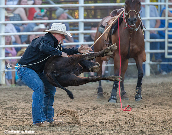 Calf Roping at the Leon Iowa Rodeo