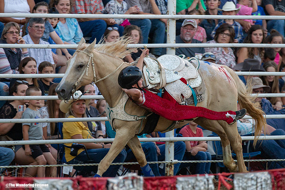 Leon Iowa rodeo trained horse performance