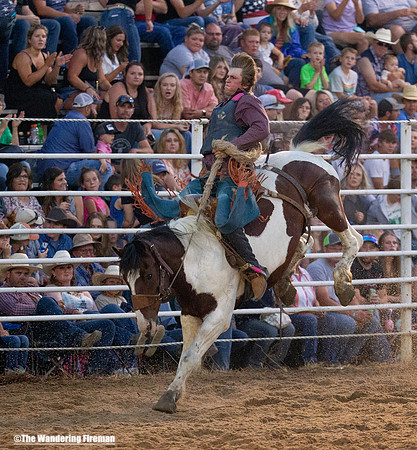 Saddle Bronc Riding at the Leon Iowa Rodeo