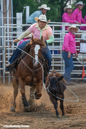 Calf Roping at the Leon Iowa Rodeo