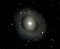 The Croc's Eye Galaxy