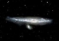 The Whale Galaxy
