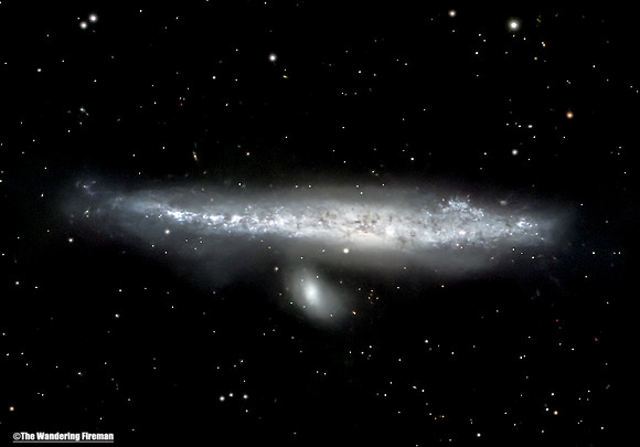 The Whale Galaxy