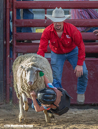 Leon Iowa rodeo children critter scramble