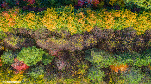 Mavic 2 Pro drone image of the fall colours in Ontario