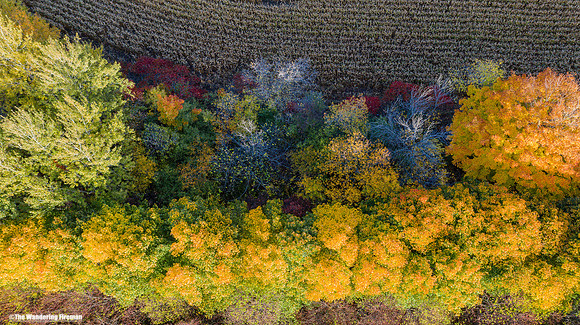 Mavic 2 Pro drone image of the fall colours in Ontario