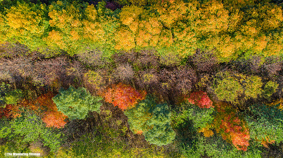 Mavic 2 Pro drone image of the fall colours in Ontario