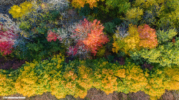 Mavic 2 Pro drone image of the fall colours in Ontario