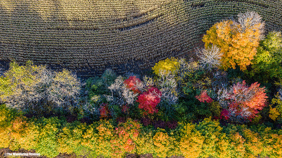 Mavic 2 Pro drone image of the fall colours in Ontario