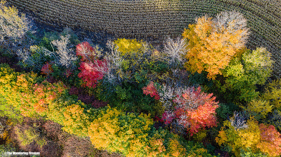 Mavic 2 Pro drone image of the fall colours in Ontario