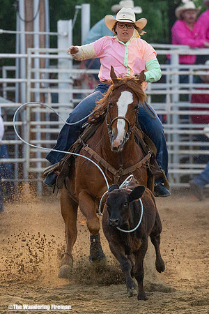 Calf Roping at the Leon Iowa Rodeo
