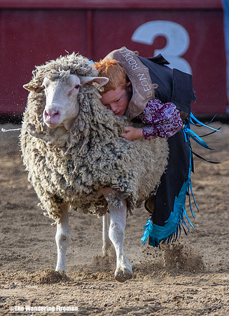 Leon Iowa rodeo children critter scramble