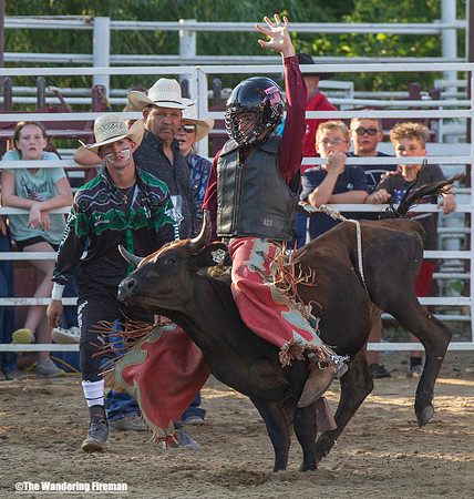 Leon Iowa rodeo calf busting event