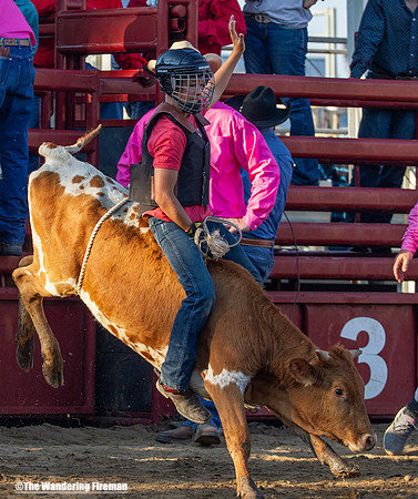 Leon Iowa rodeo calf busting event