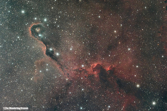 The "Elephant Trunk" nebula