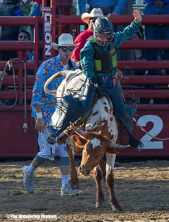Leon Iowa rodeo calf busting event