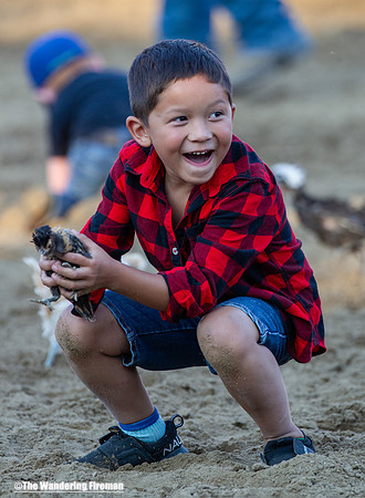 Leon Iowa rodeo kids critter scramble