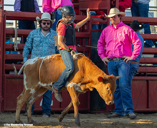 Leon Iowa rodeo calf busting event