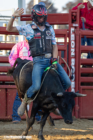 Leon Iowa rodeo calf busting event