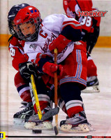 "Hometown Hockey" magazine article