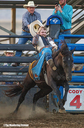 Bronc rider