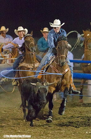 Calf Roping