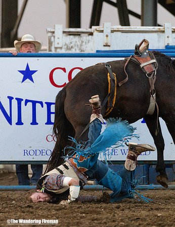 Bronc busting