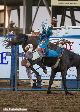 Bronc busting