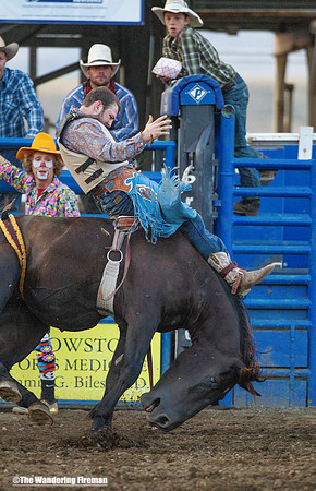 Bronc rider gets pitched