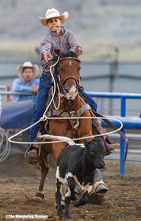 Calf roping
