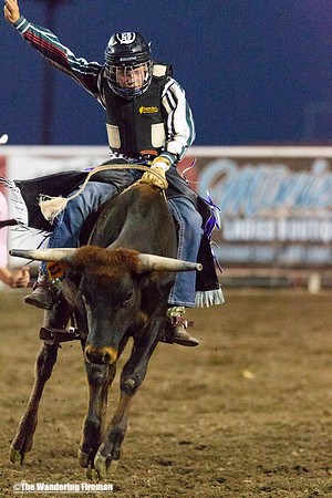 Boys bronc busting