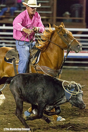 Men's calf roping