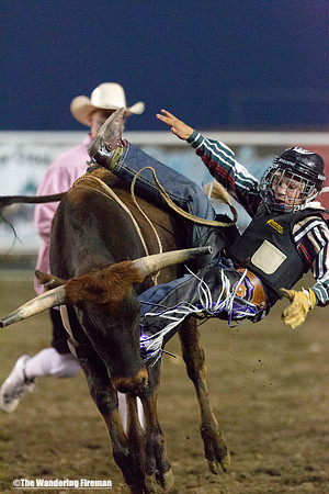 Young cowboy bronc rider