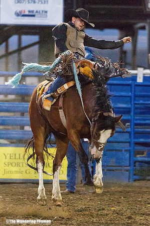 Bronc busting