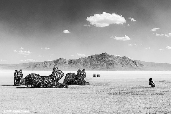 The Purr Pods art project at Burning Man in Black Rock City Nevada