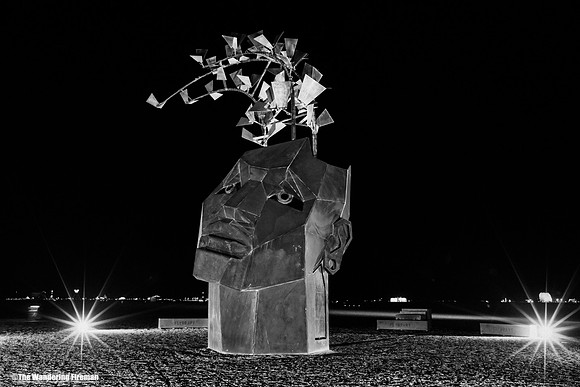 The Flybrary art project at Burning Man in Black Rock City Nevada-4