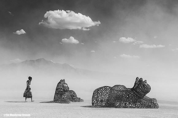 The Purr Pods art project at Burning Man-9