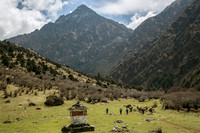 Hiking the trail in Bhutan