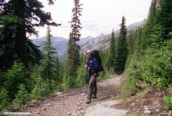 Hiking through the forests in Alberta Canada