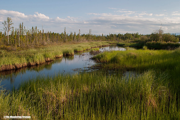 "The Mackenzie Lowlands."