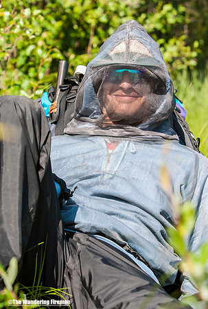 "Safe from the mosquitoes."