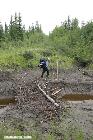 "Beaver Dams Galore!"