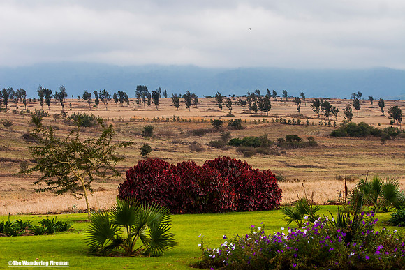 "African landscaper in Tanzania while on safari"
