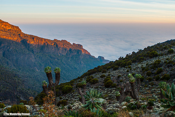 "Hiking the Machame trail on Kilimanjaro in Tanzania."