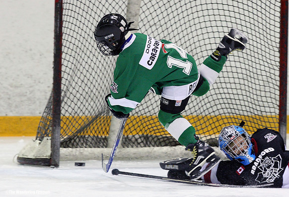 A player scores a goal in an ice hockey game