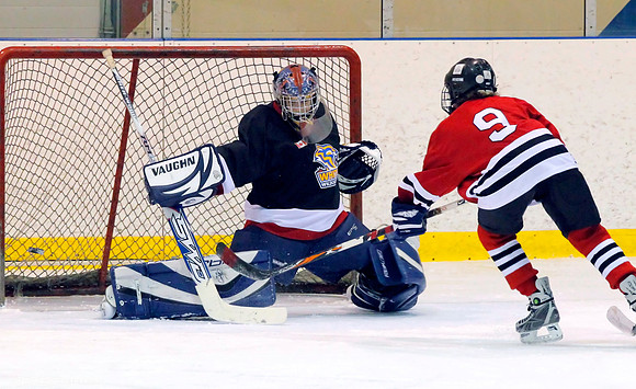 Ice hockey goal