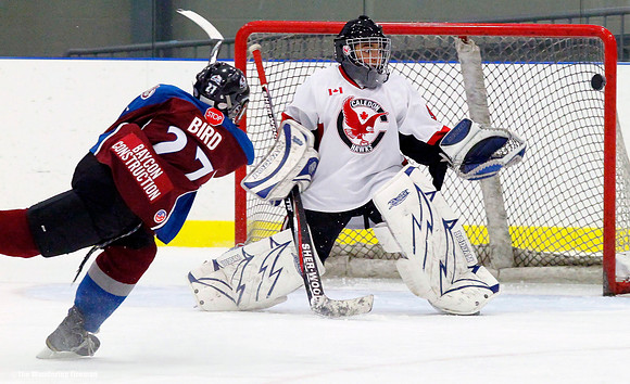 Ice hockey player scores goal