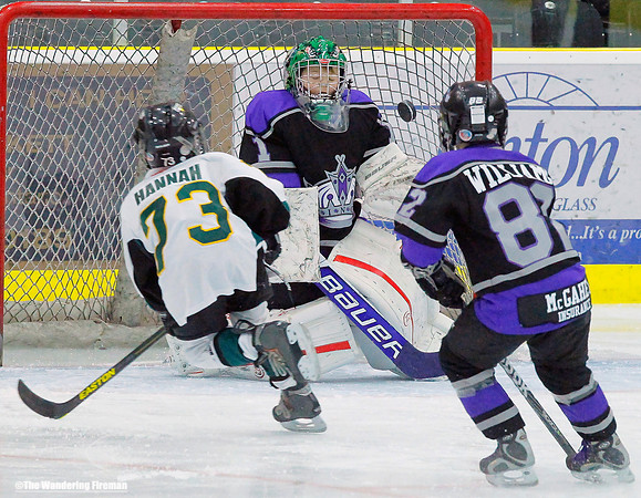 Ice hockey goal