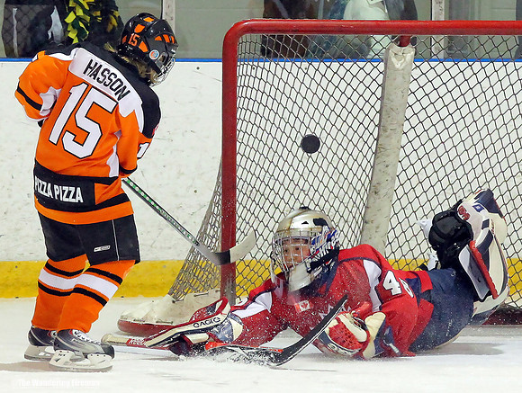 "Ice hockey goal"